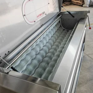 Potato Cassava Ginger Carrot Peeling and Washing Machine Vegetable Processor