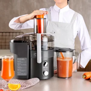Powerful Heavy Duty Fruit Juice Extractor Commercial Electric Fruit Juicer