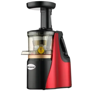 Professional 150W Commercial Electric Handheld Juicer Blender OEM CE Certificated Slow Press Carrot Extractor Fruit Plastic