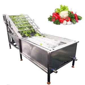 Professional Anti Rust Carrot Cleaner Air Bubble Hawthorn Washing Equipment Fruit Juice Processing Plant Sea Cucumber Washer