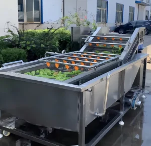 Professional Bubble Washing Machine Fruit Apple Washing Machine