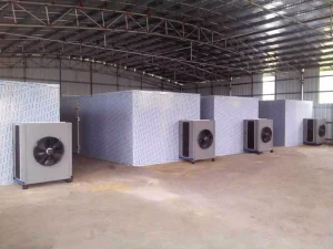 Professional Commercial Fish Seafood Drying Machine Low Temperature Cold Dehydrator