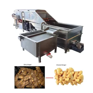 Professional High Efficient Turmeric Ginger Washer