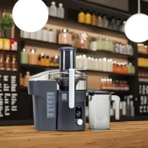 Professional Orange Juicer Heavy Duty Commercial Juice Extractor
