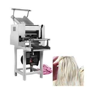 Professional Pasta Maker Machine Electric Noodle Production for Commercial Kitchens