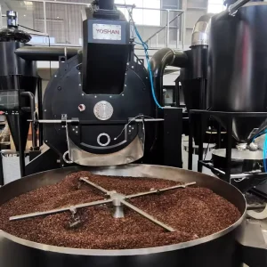 Professional Tostadora De Cafe Gas 60kg Industrial Machine Bean Roasting Coffee Roaster
