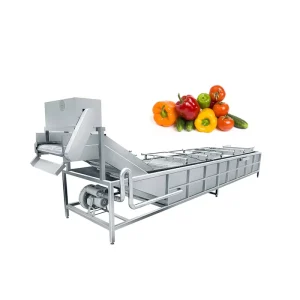 Professional Vegetable and Fruit Washer Leaf Vegetable Washing Machine