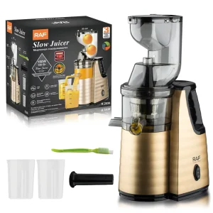 RAF Factory Direct High Power Multifunctional Household Automatic Slow Juicer for Fresh Fruit