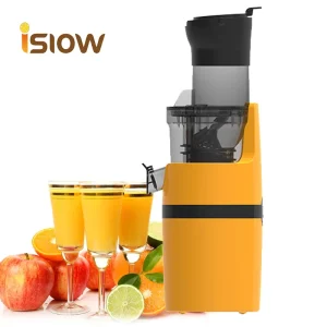 SJ 009 Vertical Color Customization Citrus Masticating Juicer Reverse Function Household Use Electric Cold Press Slow Juicer