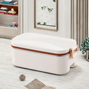 Small Capacity Electric Heating Heatable Lunch Box 2 Compartments Portable Water Free Sustainable Environment Friendly