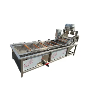 Small Commercial Fruit Vegetable Washer Bubble Air Agitation Design Suitable for Restaurant Central Kitchen Small Plant