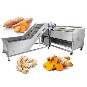 Small Ginger Washer Cleaner Sweet Potato Washing Machines and Cleaning Machine for Turmeric