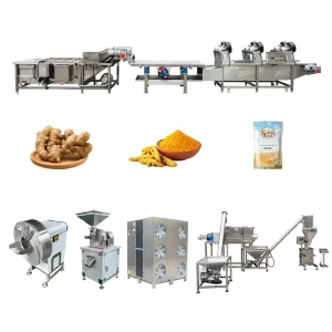 Small Industrial Garlic Ginger Slicing Cleaning and Drying Pepper Garlic Grinder Processing Machine for Ginger