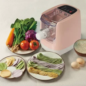 Small Mini Automatic Electric Pasta Noodle Maker Making Machine to Make Fresh Pasta at Home