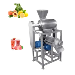 Small Scale Kiwi Mango Lemon Automatic Orange Juicer Fruit Juicer Extractor Machine Stainless Steel Cold Press Juicer