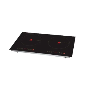 Solar Cooking Real Power 700Wx2 Cooker Solar Induction Cooker