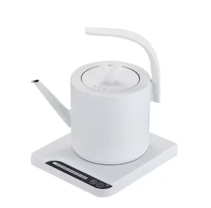 Stainless Steel 304 Inner Layer Electric Kettle Matte Surface Plug in Type Household Use 1L Capacity Digital Keep Warm