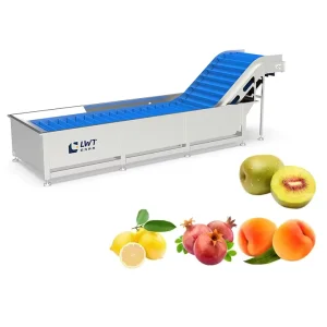Stainless Steel Fruit and Root Vegetable Washer with PLC Motor