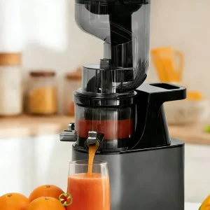 Time-saving Large Feed Chute Automatic Commercial Cold Press Juicer Automatic Juice Extractor Automatic Slow Juicer
