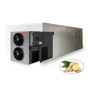 Trending Sustainable Heat Pump Drying Machine High Efficiency Industrial Dehydrator for Food Agriculture