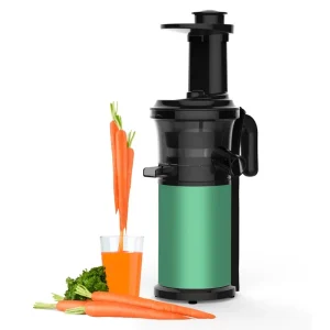 Twin Gear Auger Extractor Machine Electric Cold Press Juicer