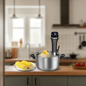 Vacuum Food Sous Vide Slow Cooker Electric Sous Vide SlowCooker With Smart Control APP