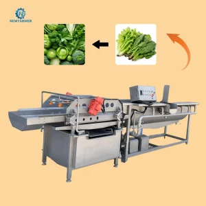 Vegetable Cleaning Machine Washers Leafy Green Cabbage Washing Machine 800 1000kg h Air Bubble Ozone Ss304 Gentle Washing