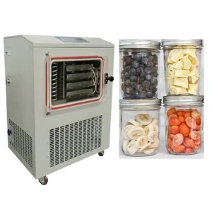 Vegetable Fruit Food Vacuum Low Temperature Lyophilize Dehydrator
