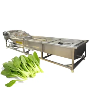 Vegetable Washer Machine Vegetable and Fruit Washing Machine Washing Vegetable Machine