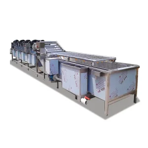 Vegetable Washer with Lifting Conveyor Auto Feeding and Discharging Reduces Manual Handling Enables Continuous Production