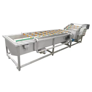 Vegetable Washing Machine