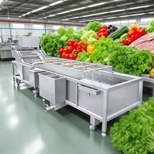 Vegetable Washing Machine Fruit Washing Machine Vegetable Bubble Washer