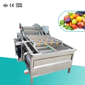 Vegetable and Fruit Air Bubble Washing Machine SS304 Steel Vegetable Washing Machine CE Certification Fruit Vegetable Washer