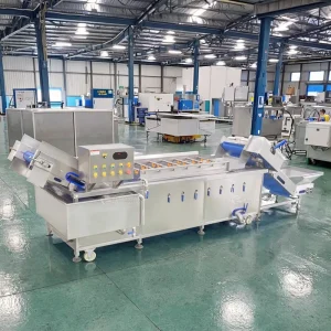 Vegetable and Fruit Washing Machine Bubble Cleaning Cabbage Lettuce Pepper Washer for Vegetable Processing Plants