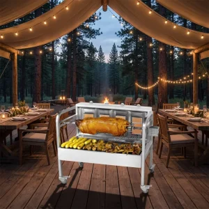 Wheeled Stainless Steel Gas Rotisserie Grill Automatic 360° Rotating Whole Lamb Roaster with Window