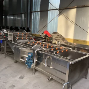 Xb 4000 Vegetable & Fruit Washing Machine Fully Automatic Pesticide Removing Bubble Washer for Commercial Use 380V