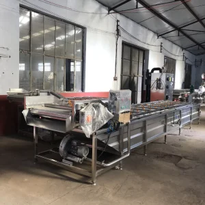 Xubang Lampion Pepper Bubble Washer Cherry Tomato Vegetable Washer Multifunctional Commercial Use Ready to Eat Washing Equipment