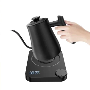 with Temperature Control Electric Kettle for Boiling Water Electric Kettle Stainless Steel 1 Liter